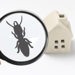 万全の防蟻対策でシロアリ被害から家を守る