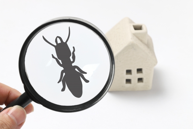 万全の防蟻対策でシロアリ被害から家を守る